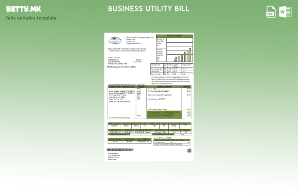 Бизнис сметка за комунални услуги на САД Канзас Виктори Електрик
